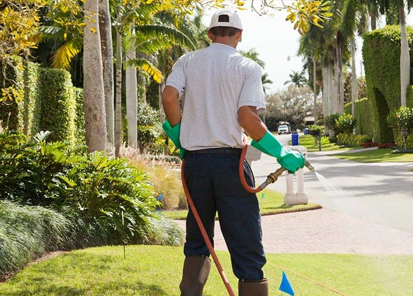 About Grand Junction IA Pest Control Pros